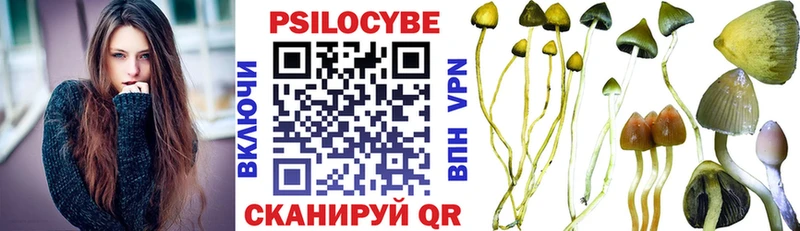 Галлюциногенные грибы Cubensis  где купить наркотик  Нижний Тагил 