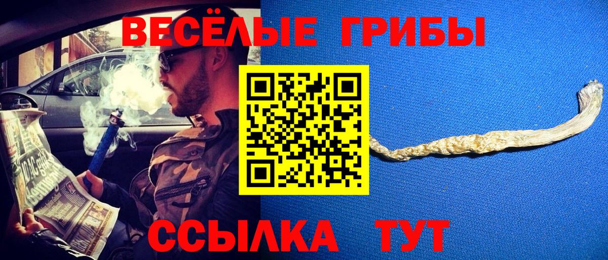 Псилоцибиновые грибы Psilocybe  Псилоцибиновые грибы мухоморы  Нижний Тагил  Вход с VPN 